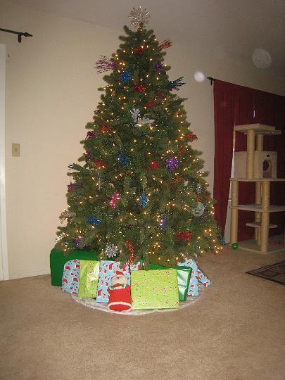 Christmas 2009 003.JPG